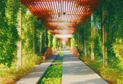 Spring in Yanta: Blossoms at Every Turn_fororder_微信图片_20260319143019_1457_356