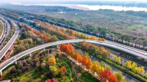 秦汉新城渭河北岸冬日盛景