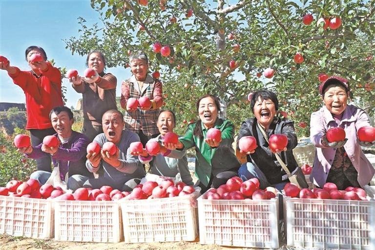 塞上沃野绘新卷 农业强市启新程——榆林以农业现代化谱写乡村振兴新篇章_fororder_微信图片_20260126083051_2812_127