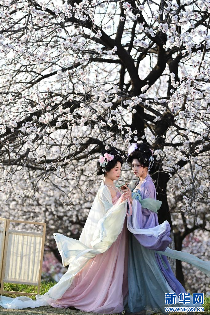 长安春日繁花开_fororder_微信图片_20260310091706_1358_356