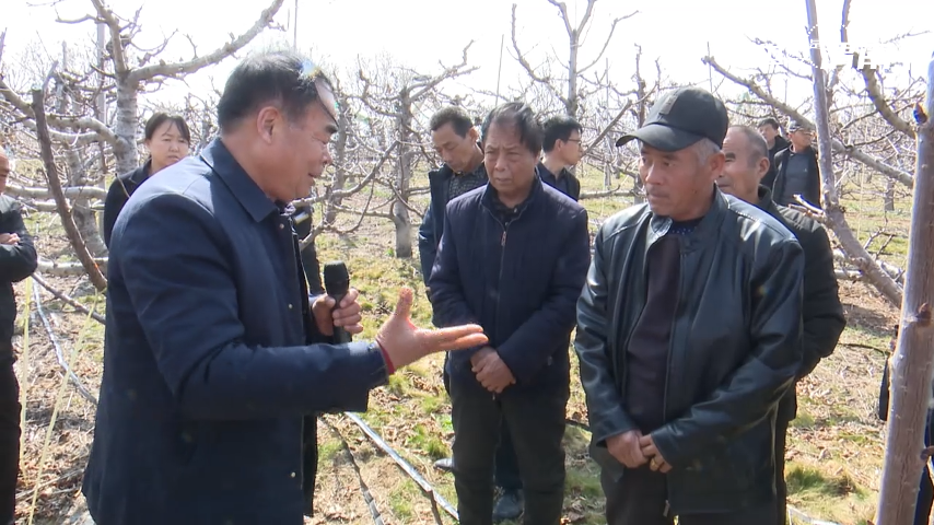 【“县”声夺人】陕西渭南：春潮涌动沃野兴 特色产业春管忙_fororder_图片2