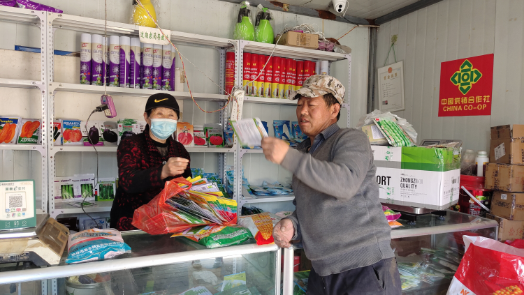 榆林横山：多方联动护航 春耕生产稳步推进_fororder_图片1