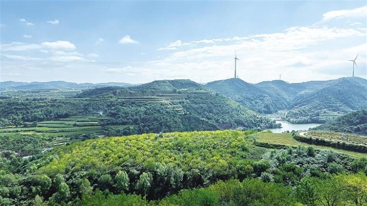 闫志雄：誓让荒山“披绿衣”_fororder_16dd36a6-421a-4f3a-82ec-6afce3b367c7