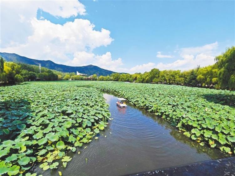 从好风景到好“钱”景——商洛深入探索生态产品价值实现机制_fororder_微信图片_20250901104845_384_356