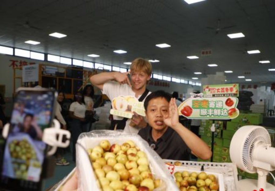 【中外博主大荔行】中外博主在历史底蕴与“数智”活力中解锁大荔新魅力