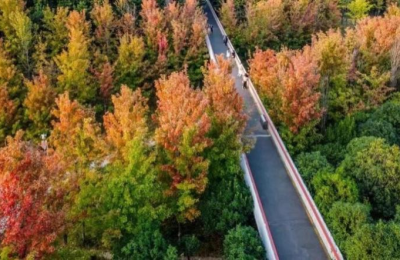 Yannan Park: A Poetic Haven at Your Doorstep