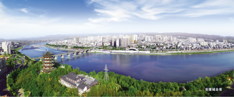 2025安康—大湾区数字经济协同发展对接会在深圳举行_fororder_图片1