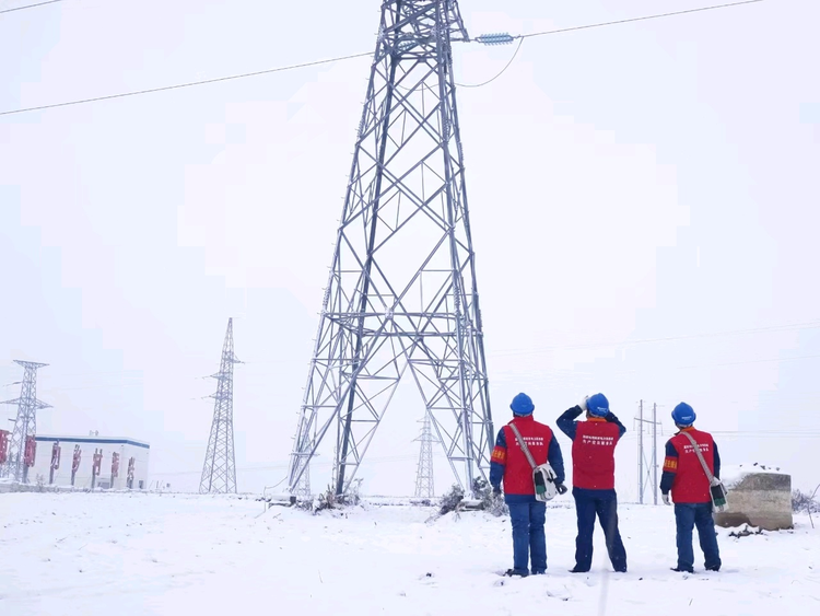 【万家灯火掌灯人】顶风踏雪巡线 守护万家灯火