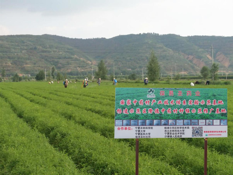 走出杨凌看示范｜科技赋能+展会经济双引擎 激发药食同源发展新动能_fororder_33