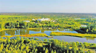 毛乌素沙地上的治沙智慧