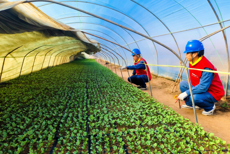 陕西渭南：电润沃野暖春耕_fororder_图片4