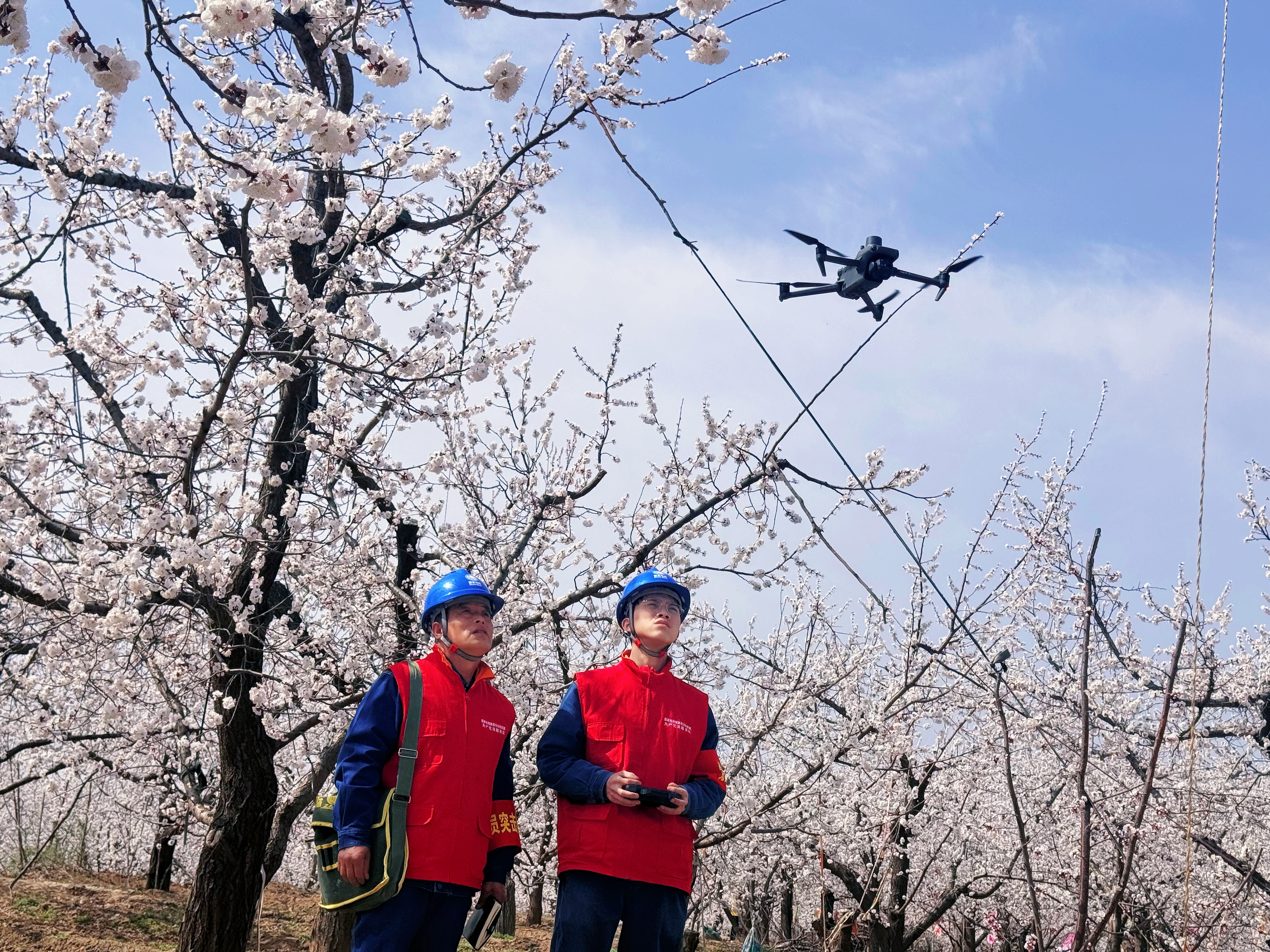 国网陕西电力：银线织春韵 电力护春光_fororder_图片1