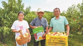 榆林市横山区：老果园长出新希望