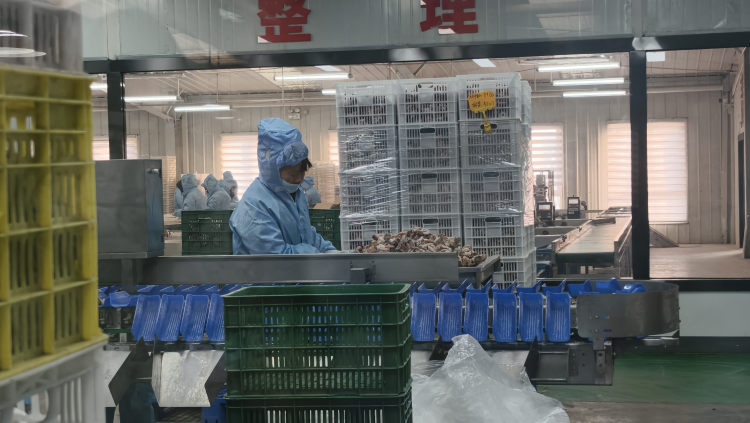 开年即冲刺 智创启新程 ——渭南市以新质生产力赋能高质量发展_fororder_图片 4