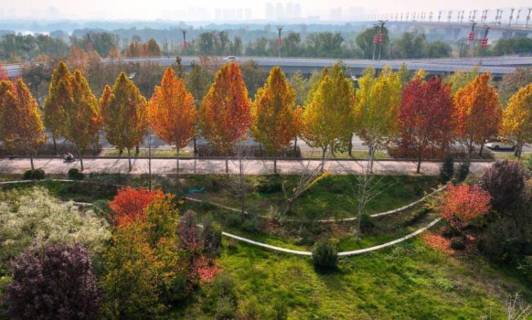 秦汉新城渭河北岸冬日盛景