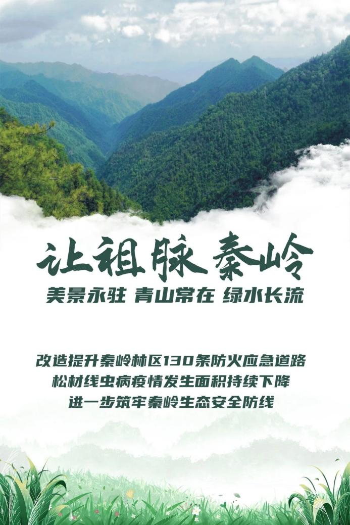 陕西：当好秦岭生态卫士 绘就“绿水青山”新画卷_fororder_图片3
