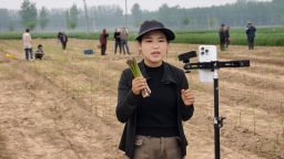 【“县”声夺人】小芦笋托起大梦想 “00后”兄妹带领村民种出好“钱”景