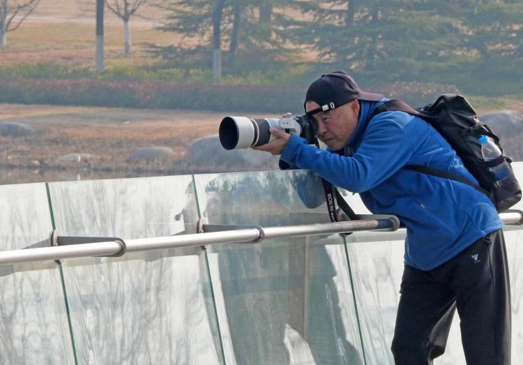 世博园来了红嘴鸥_fororder_8