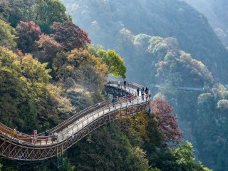 Shaohua's Autumn Splendor Enchants Visitors_fororder_1323616f-29ce-415c-bb7d-deac341d5f78.1982x1280