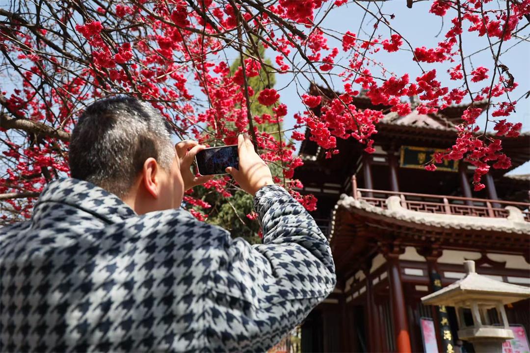西安“颜值经济”激活文旅消费新动能
