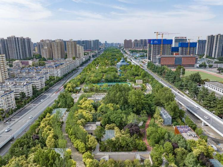绿韵流淌 风景宜人