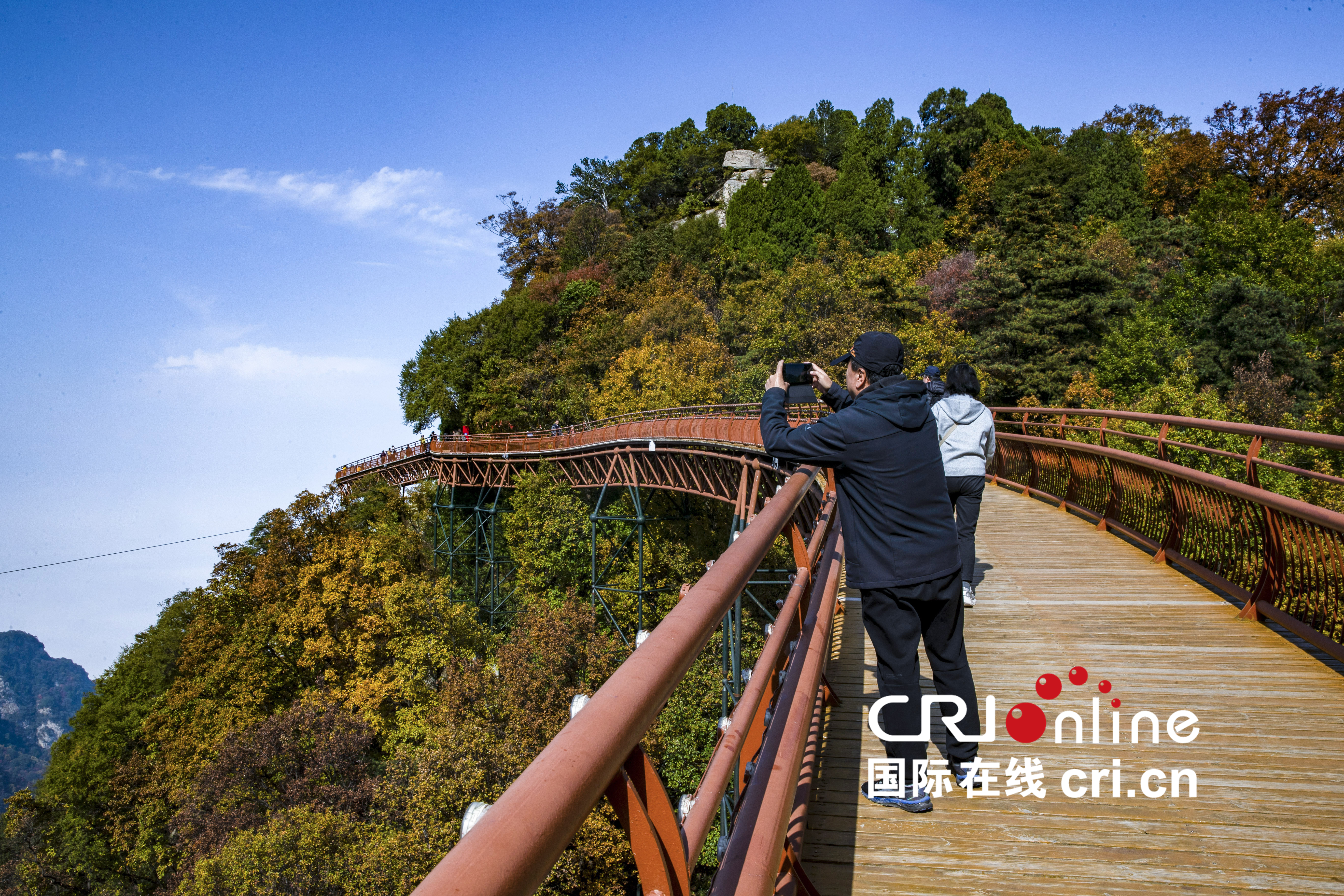 【至“陕”至美】少华秋色“醉”游人_fororder_图片5