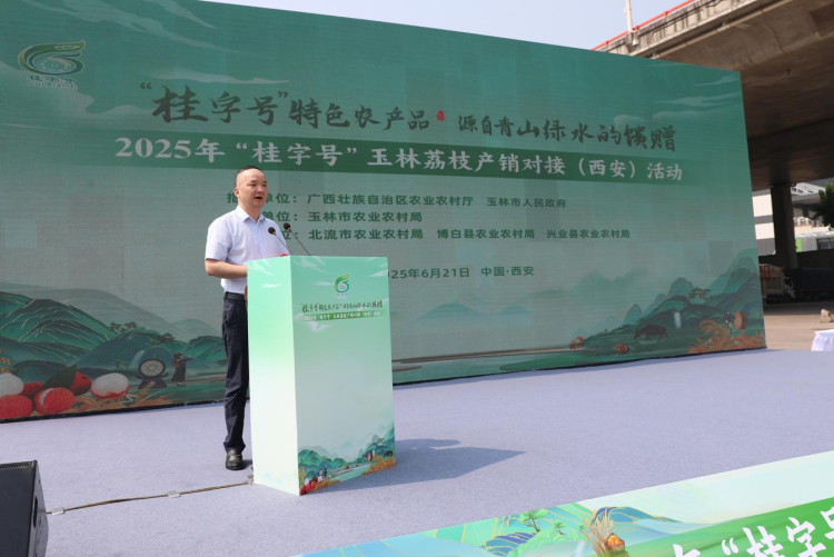 从岭南到长安：玉林荔枝“牵手”西安市场 搭建两地农业合作新桥梁_fororder_4·2