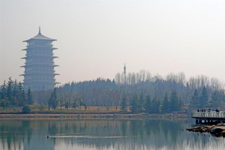 世博园来了红嘴鸥_fororder_1