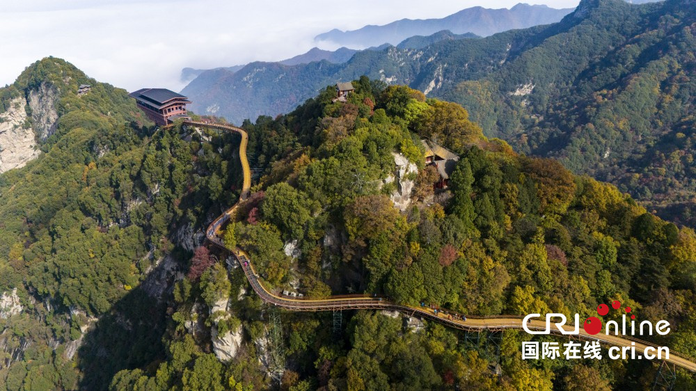 【至“陕”至美】少华秋色“醉”游人_fororder_图片7