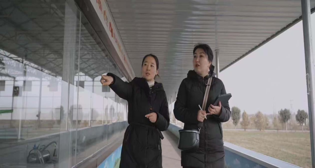 渭南两部作品荣获第七届“一带一路”百国印记短视频大赛大奖 国际传播展现中国乡村振兴魅力_fororder_图片4