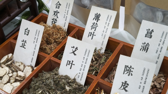 【外籍专家西安行 ⑯】“望闻问切”解码东方智慧  十国外籍专家雁塔共探中医魅力