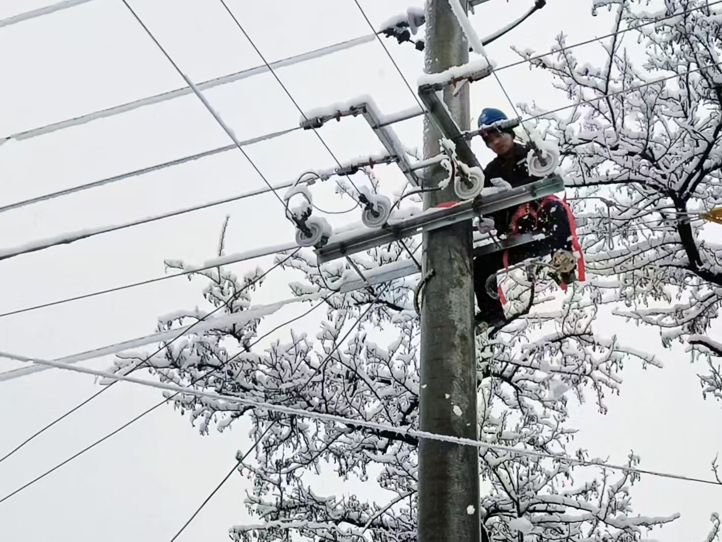 国网渭南供电公司：全力以赴抗风雪保供电