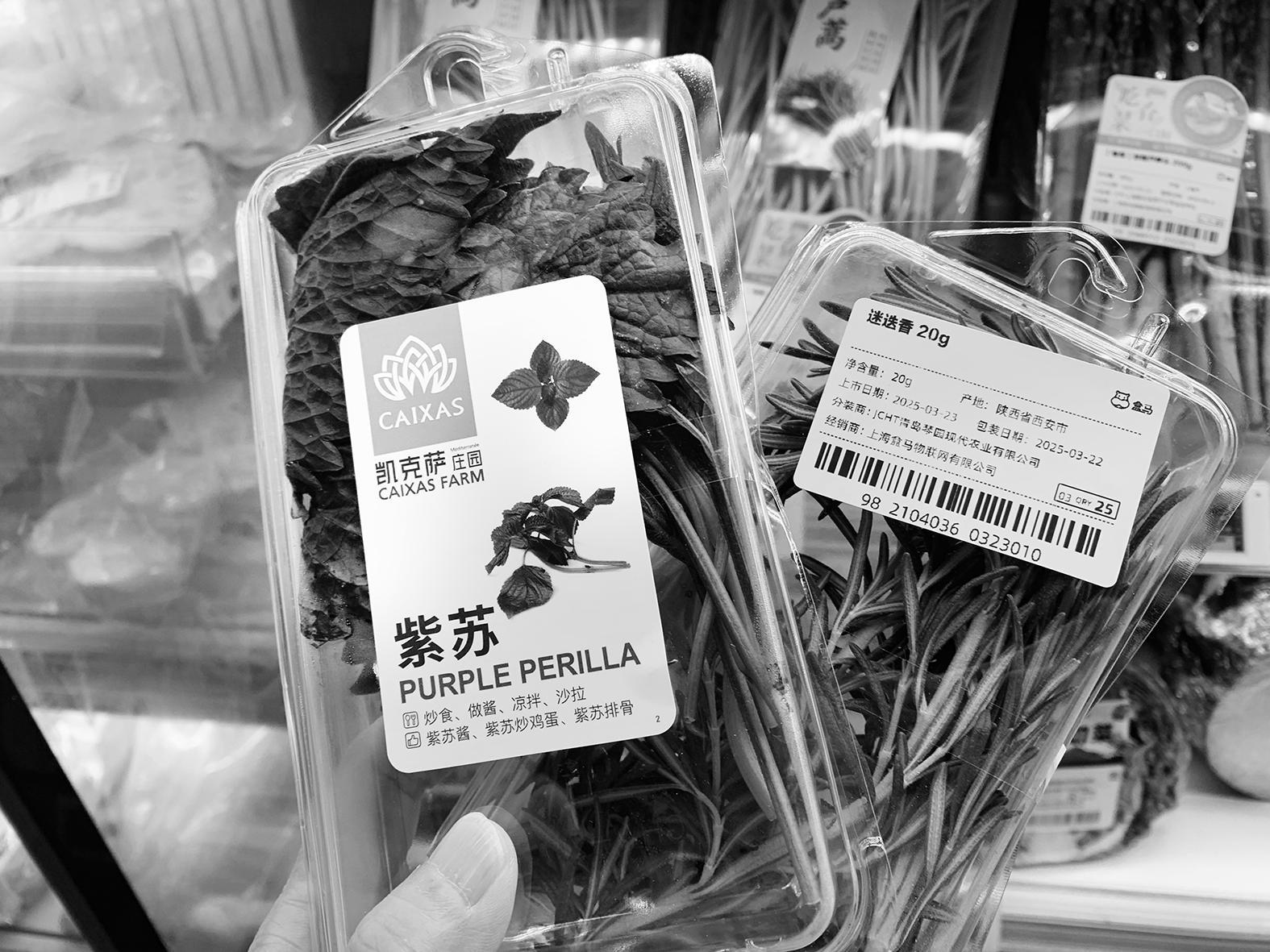 解锁新“食”尚 春菜走俏西安市场_fororder_微信图片_20250324084024