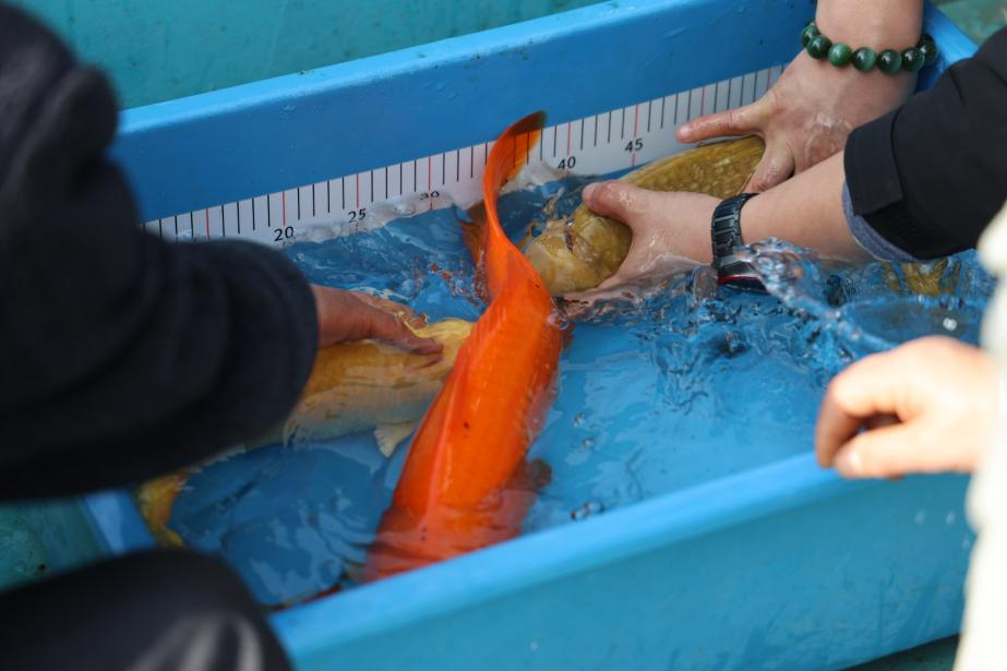 新春走基层丨所长的一天:电靓新春 满电出发