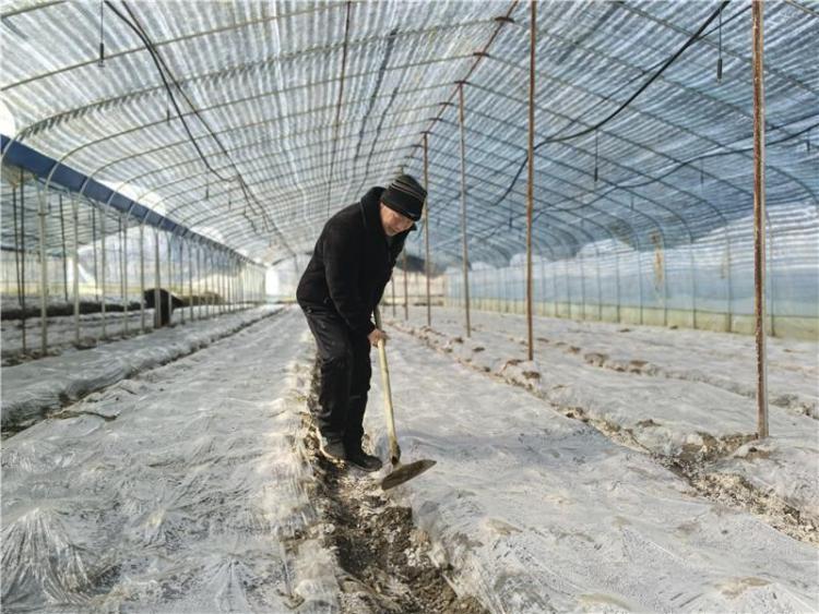 新春走基层 | 安康白河县：发展特色产业 泥土里长出新希望_fororder_微信图片_20260206105724_1169_356