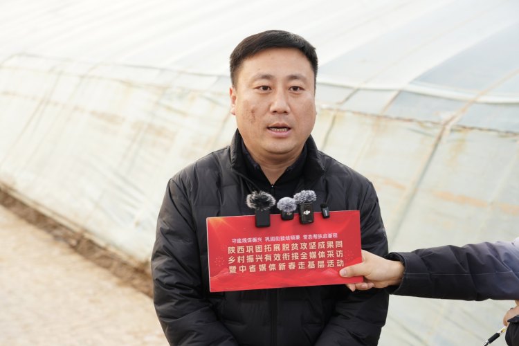 新春走基层 | 佳县朱官寨镇：让产业之花在黄土高原绽放