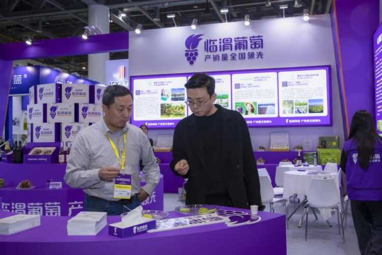 “临渭葡萄”亮相第十八届亚洲果蔬产业博览会_fororder_图片3