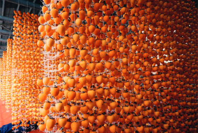 Уезд Фупин города Вэйнань: самое время для осеннего урожая красной хурмы на желтой земле_fororder_9553cc55-ec45-4b7a-a015-5e561f931d63.1267x845