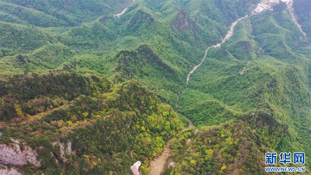陕西天竺山景区：秦岭山间绿意浓