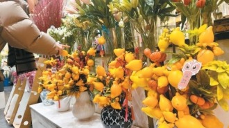 古城西安年味浓　烟火气里迎新春