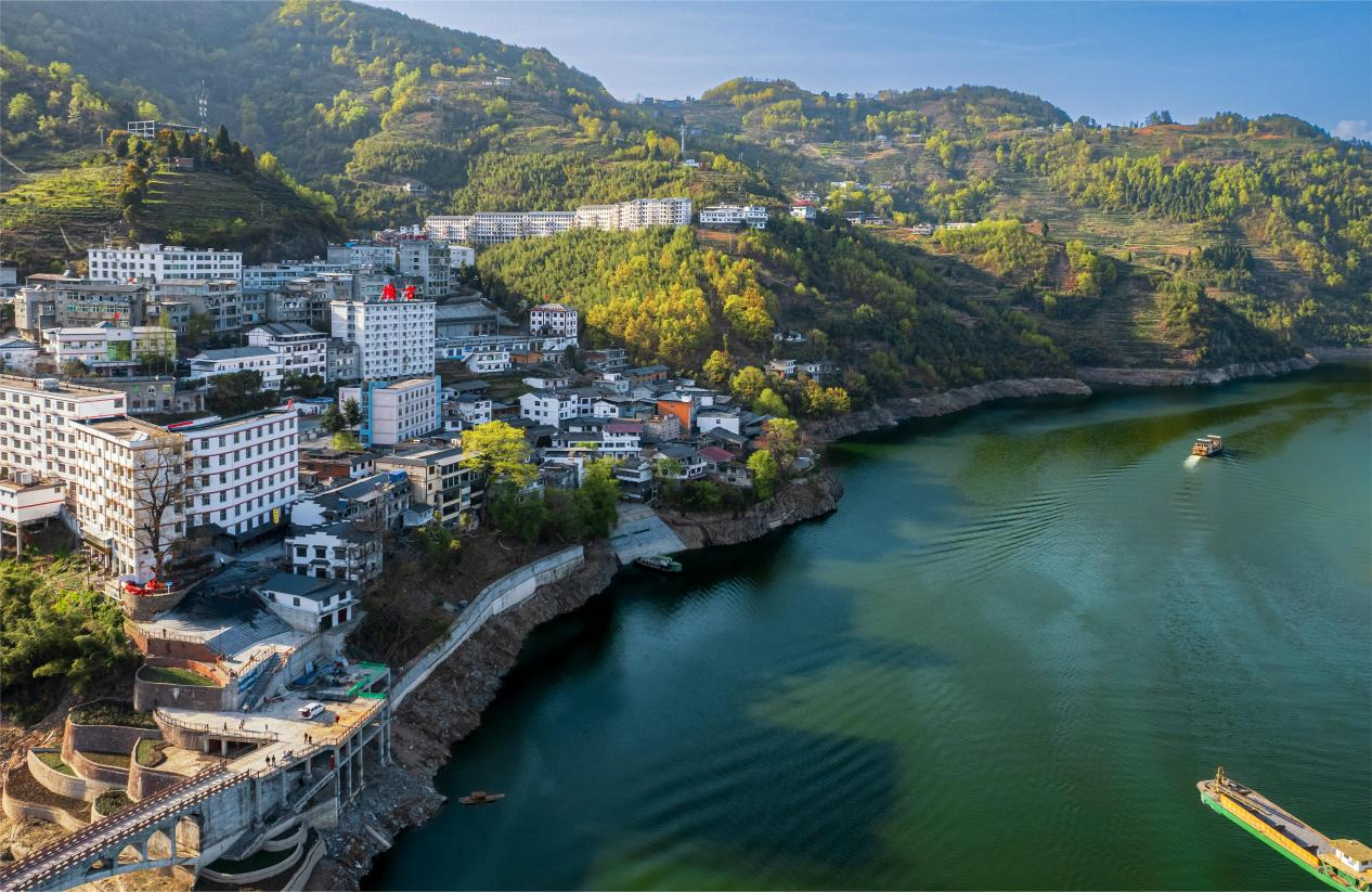 【“县”声夺人】秦巴深处赋新绿 安康焕古镇以“绿”生“金”的新茶经_fororder_微信图片_20260331135010_387_14