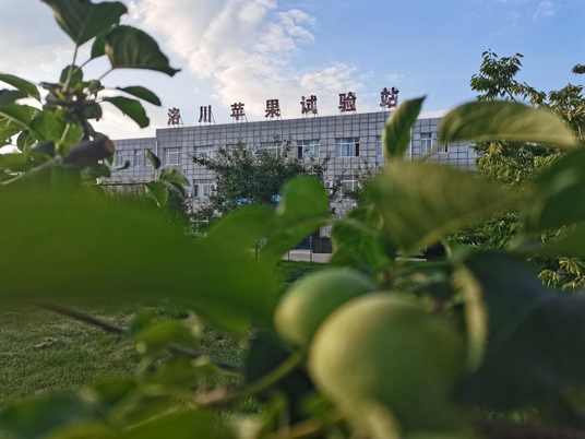 走出杨凌看示范｜洛川苹果试验站以创新为引打造增收致富“金果子”_fororder_图片1