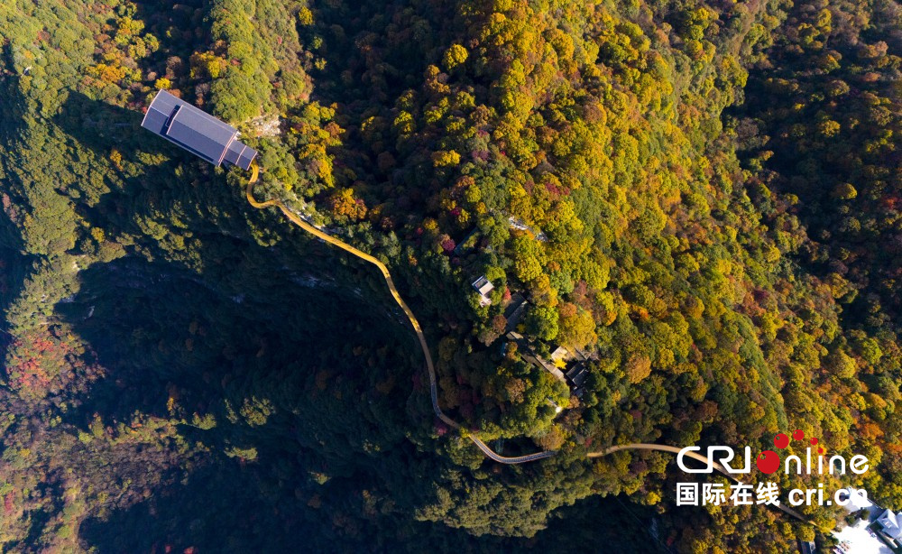 【至“陕”至美】少华秋色“醉”游人_fororder_图片8