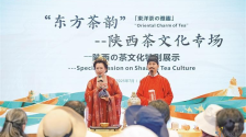 闪耀大阪 陕西“圈粉”记