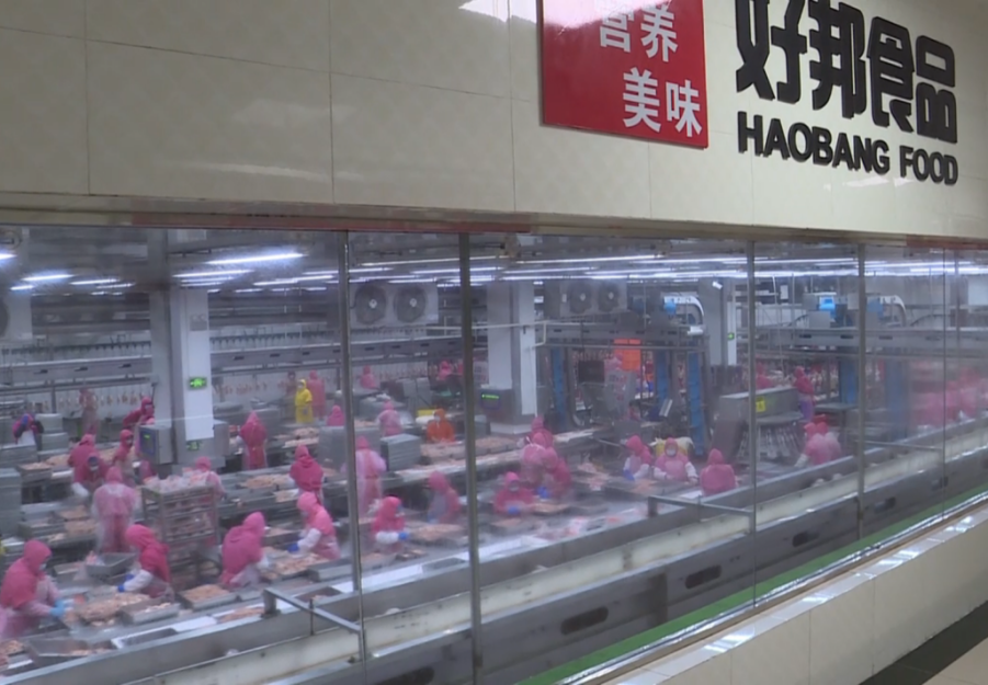 政策赋能+服务护航 渭南民营经济跑出“加速度”