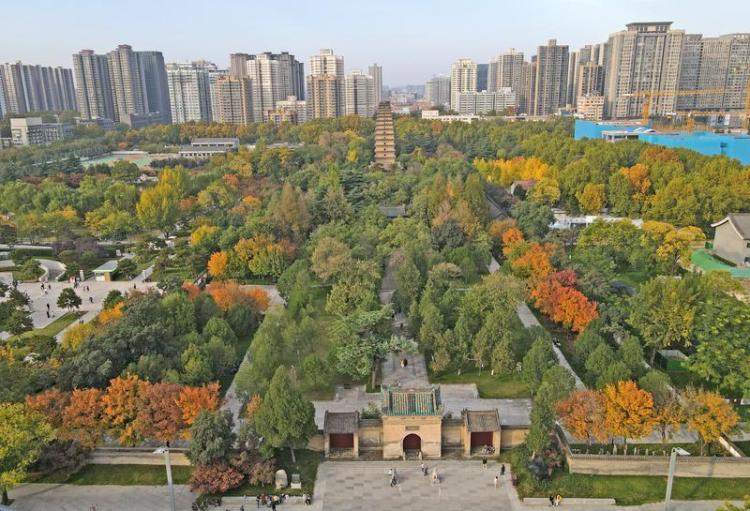 秋日小雁塔风景美