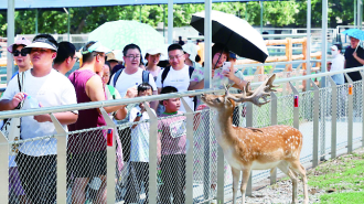 西安暑期 文旅新“热”度