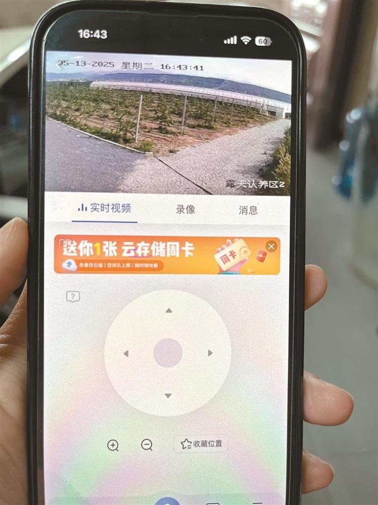 “甜蜜产业”铺就乡村振兴幸福路_fororder_微信图片_20250515091716
