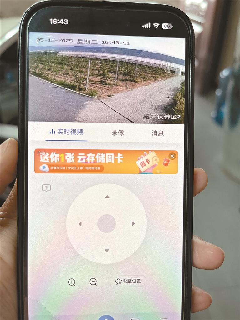 “甜蜜产业”铺就乡村振兴幸福路_fororder_微信图片_20250515091716