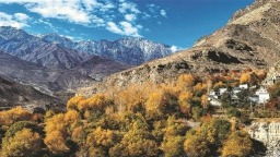 在“世界屋脊”守护生命健康